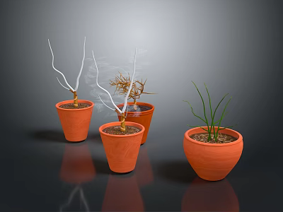 Plants in Terracotta Pots Various Types Including Bare Branches Green Grass-like on Dark Background 3d model
