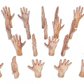Modern Multiplayer Gesture Arm Combo Female Arm Palm Finger Combo Male Arm Palm 3d model