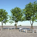 Lush Trees With Circular White Benches On Paved Ground Under Clear Blue Sky