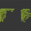 Decorative Green Vines With Lush Foliage For Interior Design On White Background