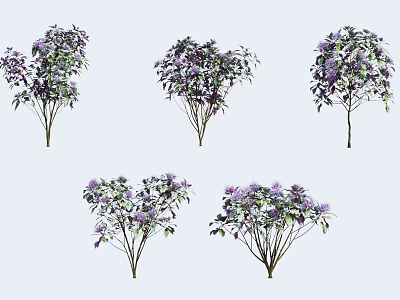 Multiple Decorative Plants With Purple Flowers And Green Leaves Arrangement 3d model