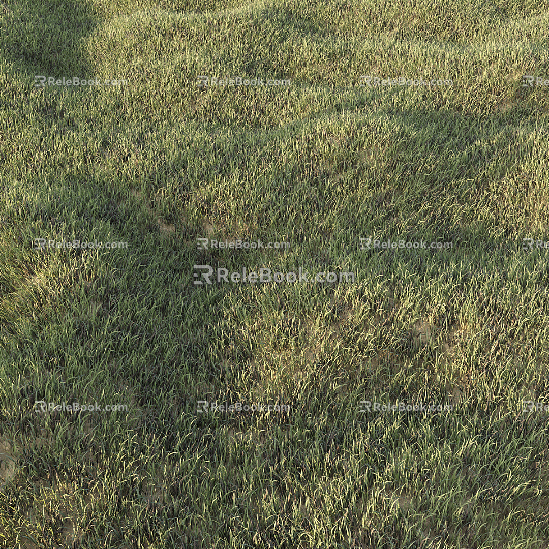 Modern Grass Green Lawn 3d model