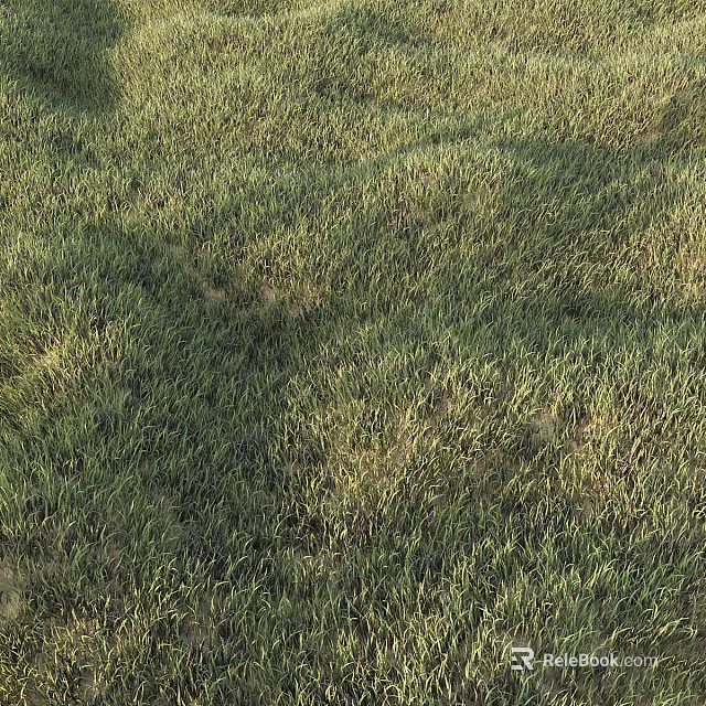 Lush Green Grassland With Sunlit Natural Meadow And Fresh Lush Green Foliage 3d model 