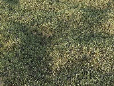 Modern Grass Green Lawn 3d model