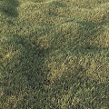 Modern Grass Green Lawn 3d model