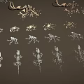 Various Dinosaur Skeleton Fossils of Different Types Displayed on Dark Background