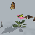 Different Colored Butterflies Flying Around Pink Flower With Green Leaves And Shadows