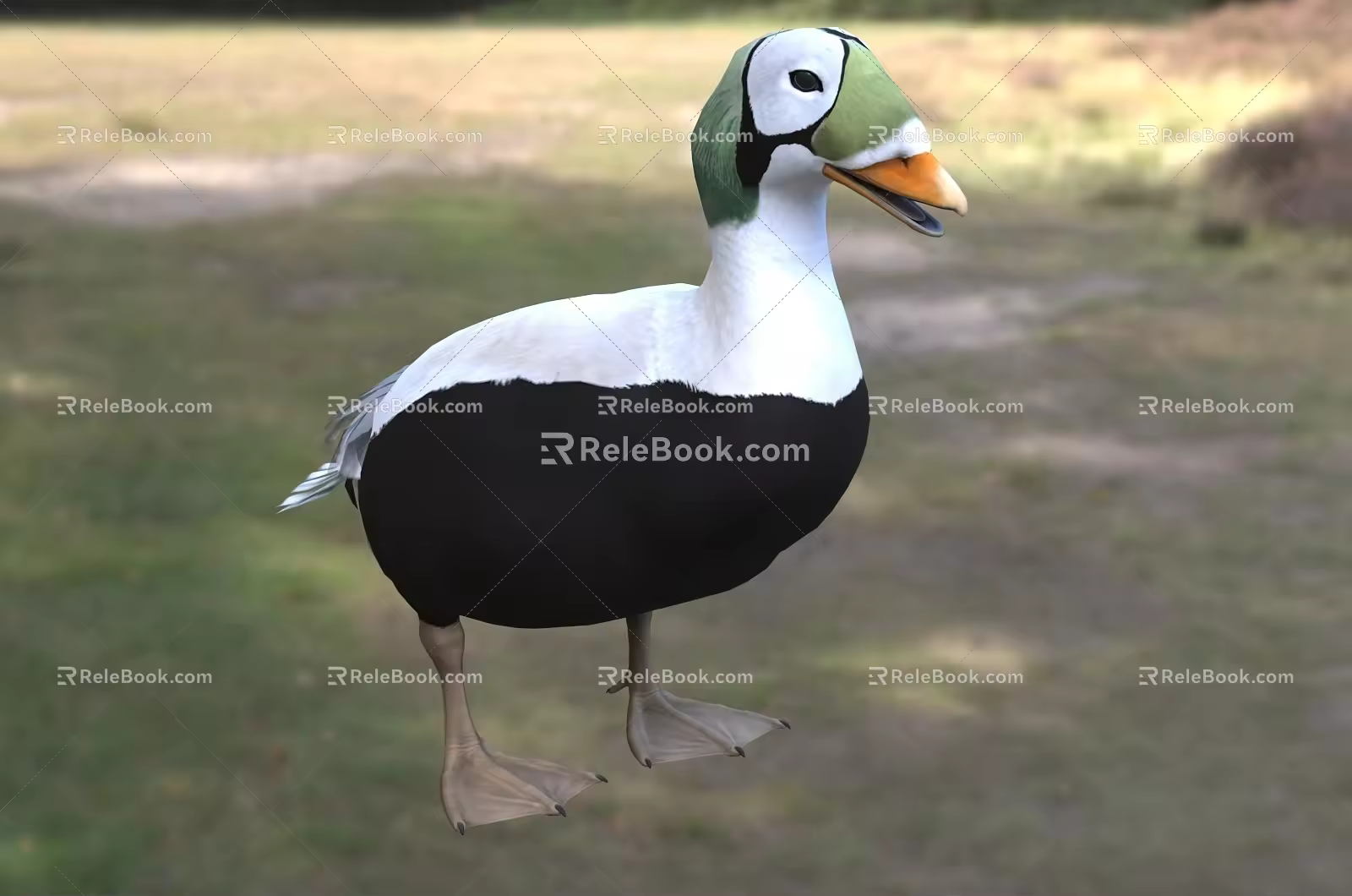 Modern Pattern Eder Duck Animal Creatures 3d model