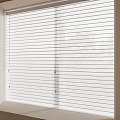 White Window Blinds For Home Interior With Light Filtering Design And Modern Style 3d model