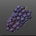 Fresh Juicy Purple Grapes Bunch On Black Background Close Up Shot