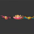 Colorful Lotus Flowers With Blooming Petals In Orange Blue Yellow Pink On Black Background