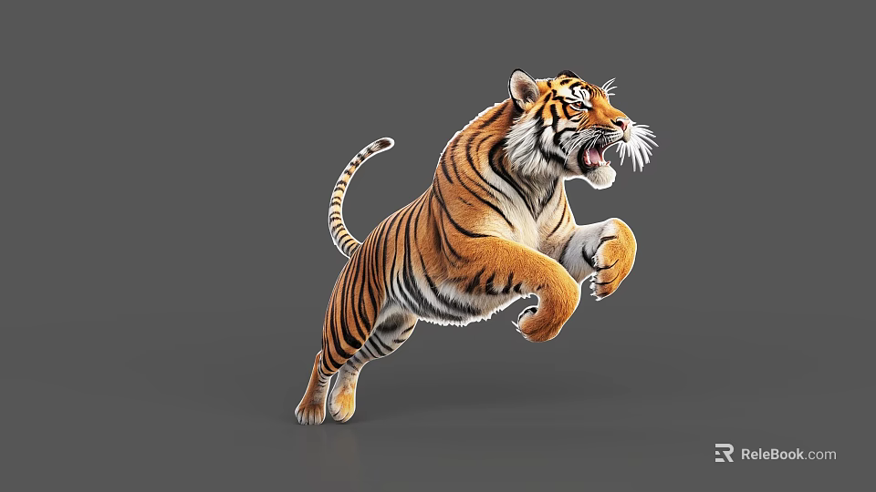 Striped Tiger In Dynamic Jumping Pose With Open Mouth On Gray Background 3d model 