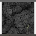 Gray Cracked Texture Background Wall With Gold Frame And Green Plant Vase