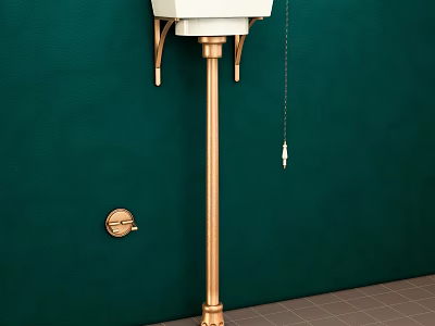 White Toilet with Golden Stand and Tank Mounted on Green Wall and Flush Button 3d model