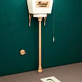 White Toilet with Golden Stand and Tank Mounted on Green Wall and Flush Button