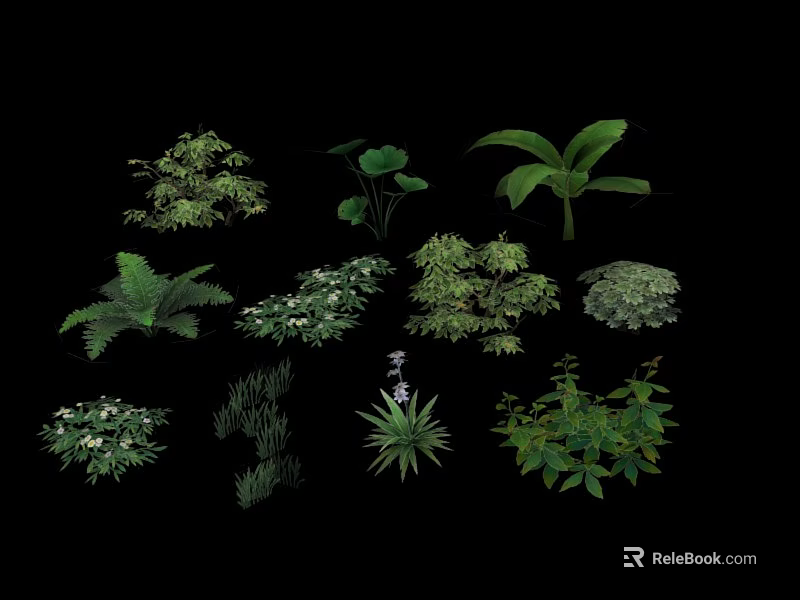 Collection of Assorted Green Plants and Flowers with Diverse Leaf Shapes 3d model 