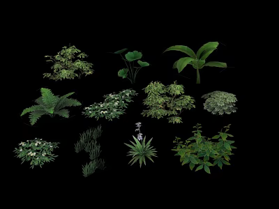 Collection of Assorted Green Plants and Flowers with Diverse Leaf Shapes 3d model