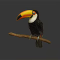 Toucan With Large Colorful Beak Perched On Branch Black White Plumage Vibrant Eye Area
