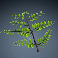 Natural Stone And Wood Decorative Branch With Fresh Green Leaves Design