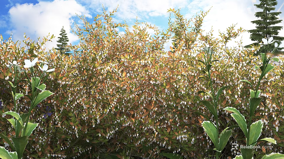 Lush Shrubs With Yellowish Orange Leaves And Small White Flowers Under Bright Blue Sky 3d model 