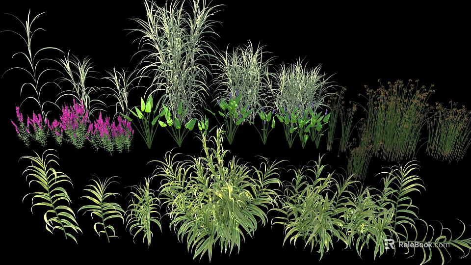 Diverse Aquatic Plants With Green Foliage And Purple Flowers For Water Garden 3d model 