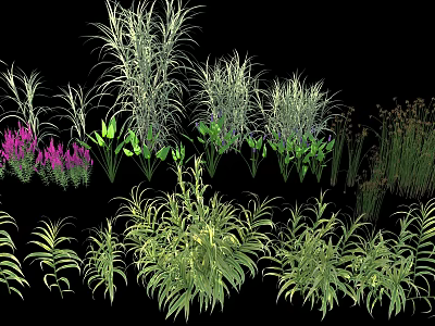 Diverse Aquatic Plants With Green Foliage And Purple Flowers For Water Garden 3d model