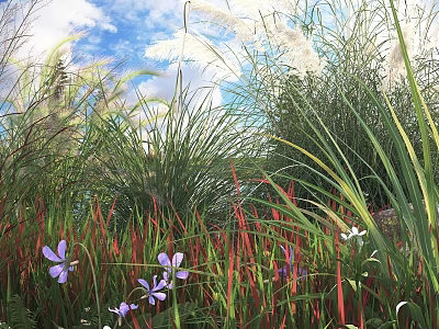 Vibrant Garden With Purple Flowers Red Green Grasses White Reeds Blue Sky And Clouds 3d model