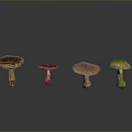 Four Fresh Wild Mushrooms Arranged in Row on Dark Reflective Surface