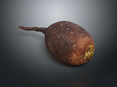 Organic Fresh Whole Beetroot with Long Taproot and Green Sprouts on Dark Background 3d model