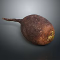 Organic Fresh Whole Beetroot with Long Taproot and Green Sprouts on Dark Background
