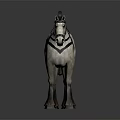 White Horse With Gray Mane Red Saddle And Bridle On Dark Background