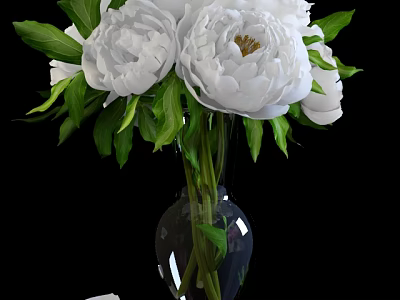 Beautiful White Peonies In Transparent Glass Vase With Fresh Green Leaves 3d model