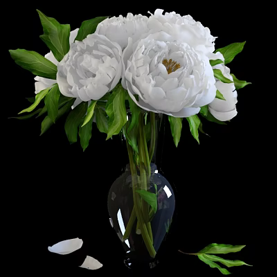 Beautiful White Peonies In Transparent Glass Vase With Fresh Green Leaves 3d model
