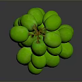 Plump Fresh Green Grapes with Vibrant Color and Juicy Look on Dark Background