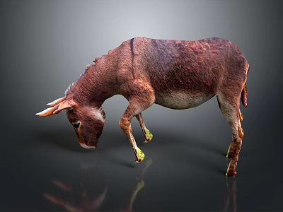 Realistic Brown Donkey Bending Down With Reflection On Dark Background 3d model
