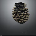 Pine Cone With Natural Scaly Brown Texture Isolated On Dark Background