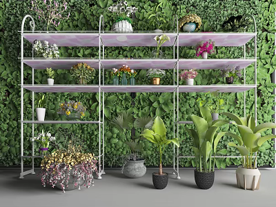 Decorative Multi tiered Shelf Rack With Various Potted Plants And Green Wall 3d model