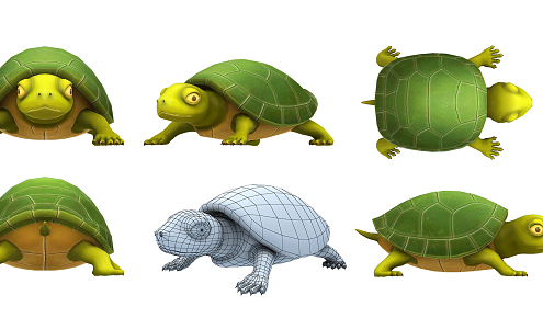 Modern Turtle 3d model