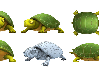 Modern Turtle 3d model