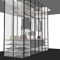 Modern Glass Fronted Wardrobe Interior Design With Black Frame Hanging Clothes And Storage Bags