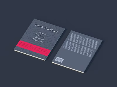 Contemporary Fiction Book Cover With Red Stripe Geometric Pattern And Barcode 3d model