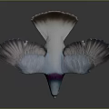 Flying Pigeon With Spread Wings Blue Purple Green Iridescent Feathers Red Feet Dark Background