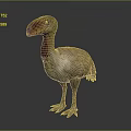 Realistic Dodo Bird 3D Model With Large Beak And Feathered Body Standing Pose