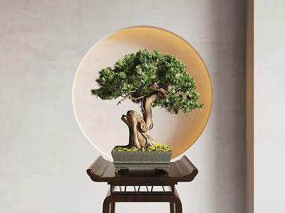 Elegant Bonsai Plant With Twisted Trunk And Green Foliage On Wooden Stand 3d model