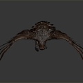 Modern Eagle Large Eagle Raptor 3d model