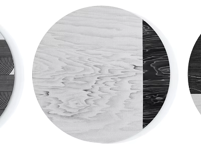 Stylish Round Rug Featuring Wood Grain Texture And Black White Pattern 3d model