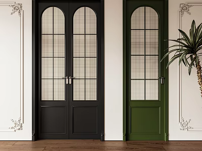 Black and Green Double Doors With Glass Panels White Walls Moldings And Plant Interior 3d model