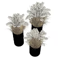 Black Cylindrical Vases With Dried Pampas Grass For Modern Home Decor