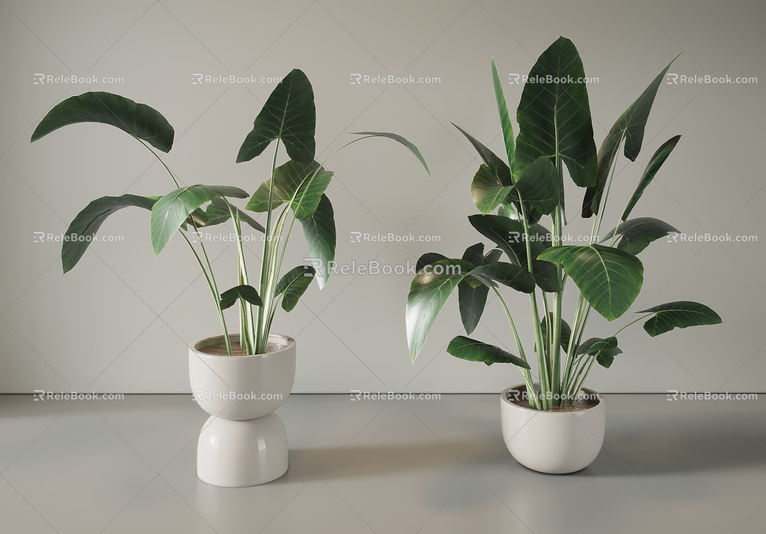 Modern potted potted plant 3d model