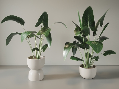 Modern potted plant 3d model